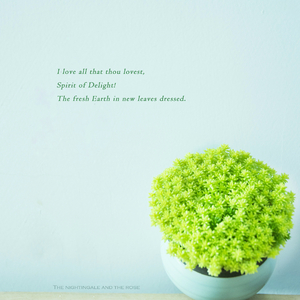 黄色区片小拘搞女人
