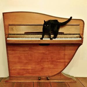 黄色区片小拘搞女人
